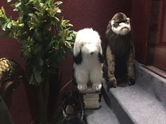 -当当梅溪书院(步步高梅溪新天地店)