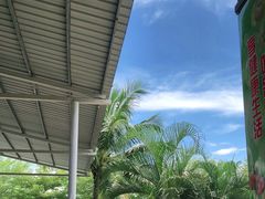 -亚龙湾国际玫瑰谷
