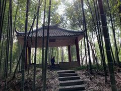 -上海佘山国家森林公园西佘山园