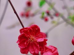 -乌山风景区
