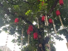 -重庆十八梯传统风貌区