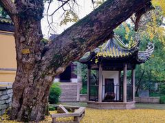 -惠山古镇·寄畅园