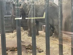-无锡动物园·太湖欢乐园