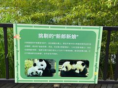 -苏州太湖国家湿地公园
