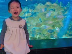 -烟台海昌鲸鲨海洋公园