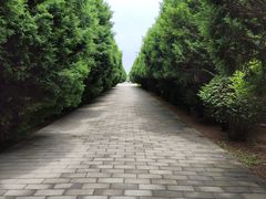 -秦始皇帝陵博物院-丽山园