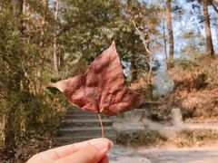 -南岳衡山风景名胜区