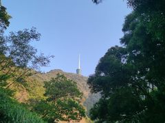 -梧桐山风景名胜区