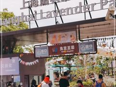 -季高兔窝窝亲子园(上海薰衣草公园店)