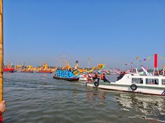 -溱湖国家湿地公园