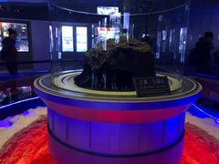 -吉林市博物馆