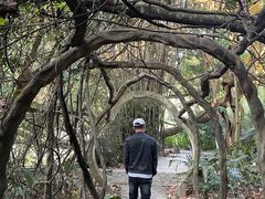-广西壮族自治区药用植物园