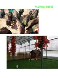 -萌宠亲子动物乐园(槐房万达店)