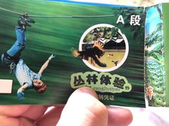 -西双版纳原始森林公园