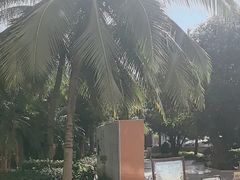 -三亚海棠湾喜来登度假酒店