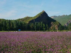 android_upload_pic-百里山水画廊乌龙峡谷