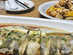 -张鸟园农家乐(张鸟园店)