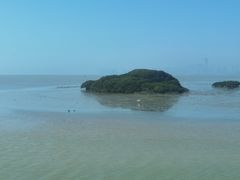 -福田红树林生态公园