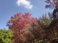 -天龙八部武侠城