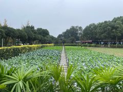 -洪湖家庭农场·团建·露营·会议