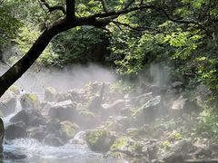 -红崖峡谷景区