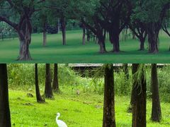 -东莞植物园