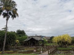 -中国科学院西双版纳热带植物园