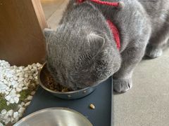 -汤宴·参须肚包鸡(南京路店)