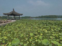 -尚湖风景区