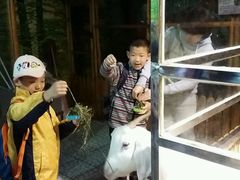 android_upload_pic-上海大自然野生昆虫馆