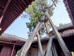 -太平天国侍王府