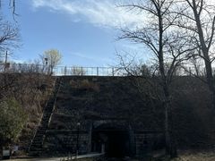 -白水寺森林公园
