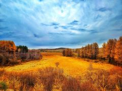 -塞罕坝国家级自然保护区