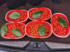 -樱桃山旅游景区