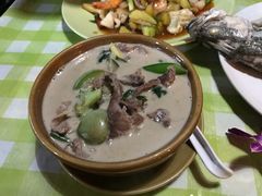 -Jungle Kitchen