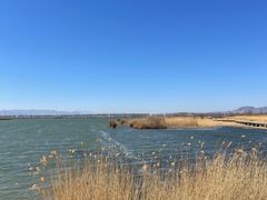 -野鸭湖国家湿地公园