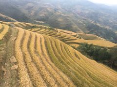 -春秋旅游航空(西藏路分部)