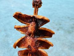 -大连老虎滩海洋公园