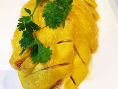 白斩散养草鸡-红城阁·上海味道(四平路店)