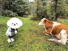 -硗碛藏寨·神木垒景区