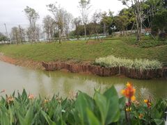 -王借岗森林公园