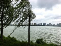 -艾溪湖湿地公园