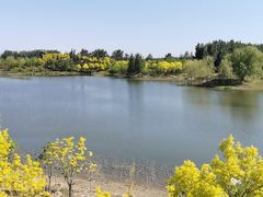 -东郊湿地公园
