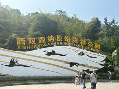 -西双版纳原始森林公园