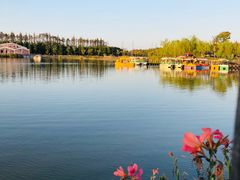 -上海长兴岛郊野公园