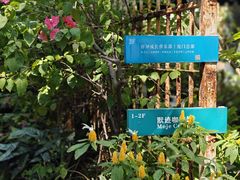 -默迹咖啡馆