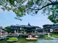 -豫园湖心亭茶楼