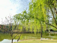 -沐仙湖湿地公园
