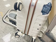-郑州新郑国际机场-T2航站楼