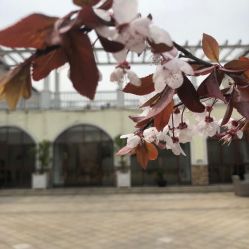 点击看大图 -伊莎贝拉婚礼庄园(顾村店)